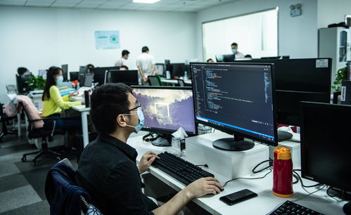 新興產業吸引年輕人返鄉就業 計算機軟件咨詢的機遇與挑戰