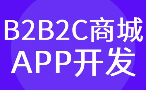 廣州B2B2C商城APP開發(fā) 購物電商系統軟件定制 紅匣子科技