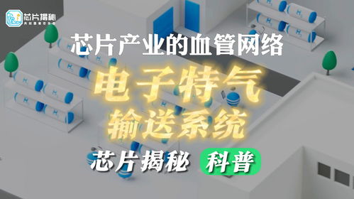一個視頻帶你了解芯片工廠的 血管網絡 電子特氣輸送系統
