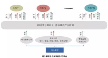 綜合性電力集團未來發展模式構想