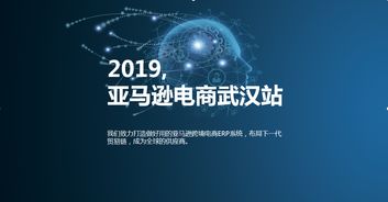 麥億易軟件科技亞馬遜無貨源模式erp系統開發店群模式