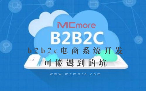 b2b2c電商系統開發可能遇到的坑丨經驗分享