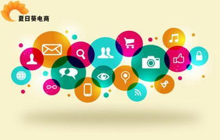 b2c商城系統(tǒng)的搭建和運營分別要注意什么