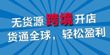 亞馬遜erp系統開發代理,跨境電商無貨源店群項目